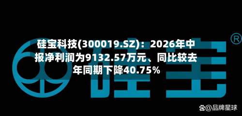 硅宝科技(300019.SZ)：2026年中报净利润为9132.57万元	、同比较去年同期下降40.75%-第2张图片
