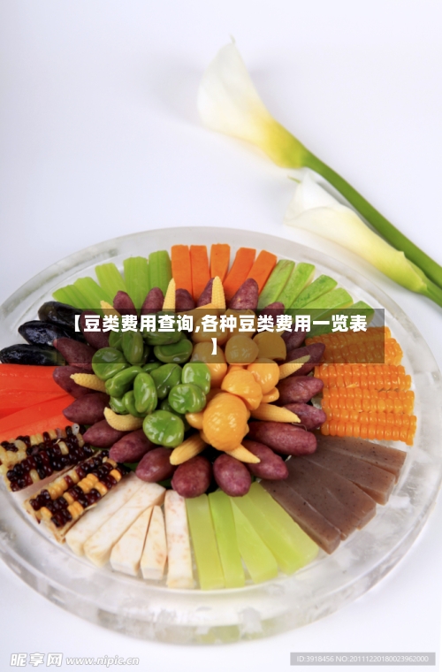 【豆类费用查询,各种豆类费用一览表】