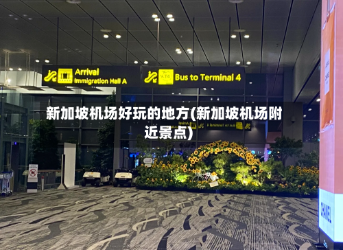 新加坡机场好玩的地方(新加坡机场附近景点)-第2张图片