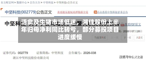 活禽及生猪市场低迷，湘佳股份上半年归母净利同比转亏，部分募投项目进度缓慢-第2张图片
