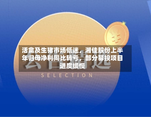 活禽及生猪市场低迷，湘佳股份上半年归母净利同比转亏，部分募投项目进度缓慢