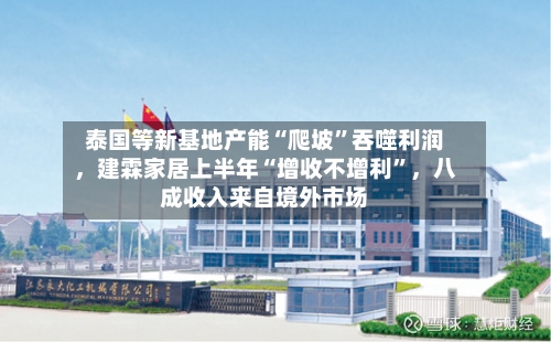 泰国等新基地产能“爬坡	”吞噬利润，建霖家居上半年“增收不增利”，八成收入来自境外市场-第2张图片