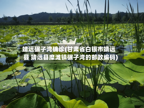 靖远碾子湾确诊(甘肃省白银市靖远县 靖远县糜滩镇碾子湾的邮政编码)