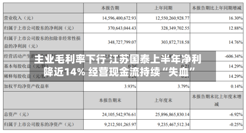主业毛利率下行 江苏国泰上半年净利降近14% 经营现金流持续“失血”-第1张图片