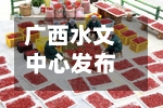 广西水文中心发布洪水红色预警 预计明江水位将全线超警