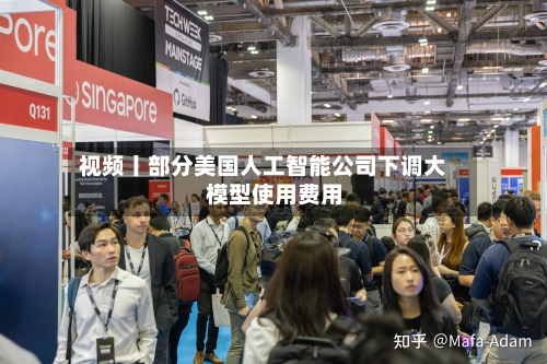 视频丨部分美国人工智能公司下调大模型使用费用
