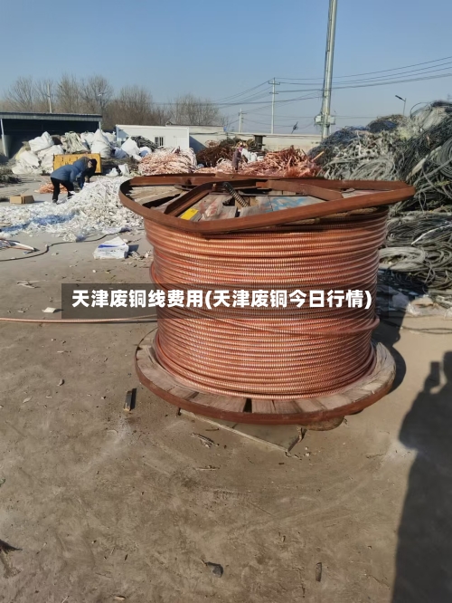 天津废铜线费用(天津废铜今日行情)-第2张图片