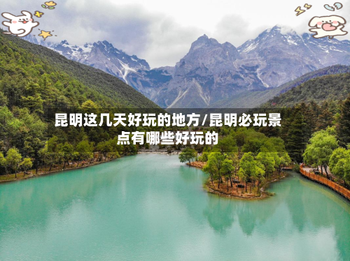 昆明这几天好玩的地方/昆明必玩景点有哪些好玩的