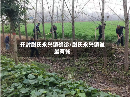 开封尉氏永兴镇确诊/尉氏永兴镇谁最有钱