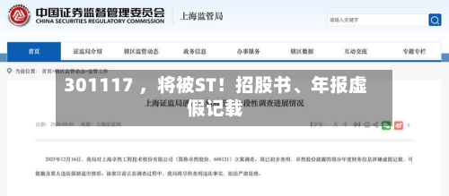 301117 ，将被ST！招股书、年报虚假记载-第3张图片