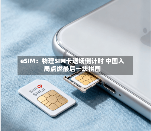 eSIM:物理SIM卡退场倒计时 中国入局点燃最后一块拼图-第3张图片