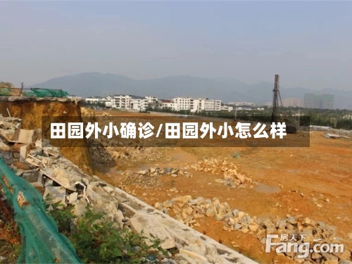田园外小确诊/田园外小怎么样