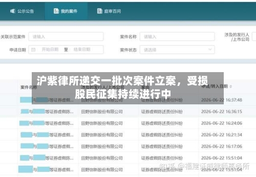 沪紫律所递交一批次案件立案，受损股民征集持续进行中-第3张图片