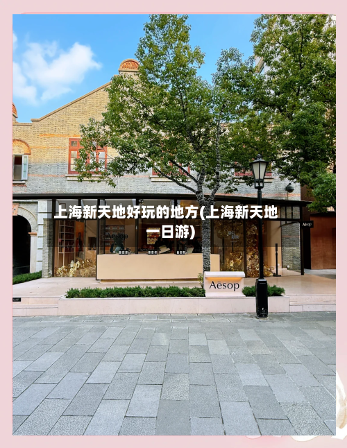 上海新天地好玩的地方(上海新天地一日游)