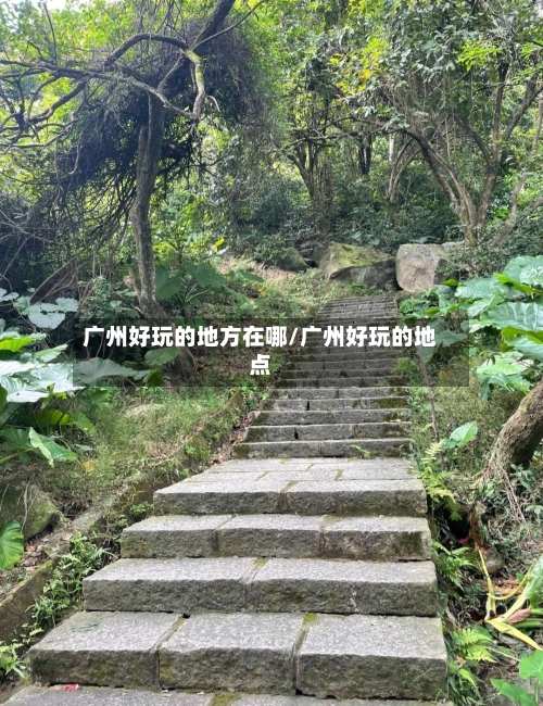 广州好玩的地方在哪/广州好玩的地点
