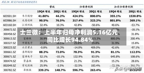 士兰微：上半年归母净利润5.16亿元 同比增长94.84%