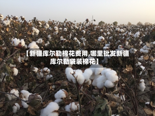 【新疆库尔勒棉花费用,哪里批发新疆库尔勒袋装棉花】-第3张图片