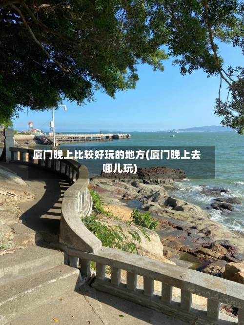 厦门晚上比较好玩的地方(厦门晚上去哪儿玩)