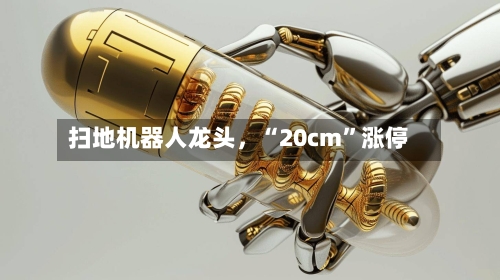 扫地机器人龙头，“20cm”涨停-第2张图片