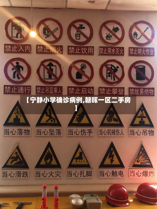 【宁静小学确诊病例,朝晖一区二手房】-第2张图片
