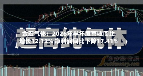 金宏气体：2026年半年度营收同比增长12.12% 净利润同比下降17.41%-第3张图片