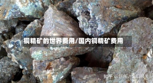 铜精矿的世界费用/国内铜精矿费用