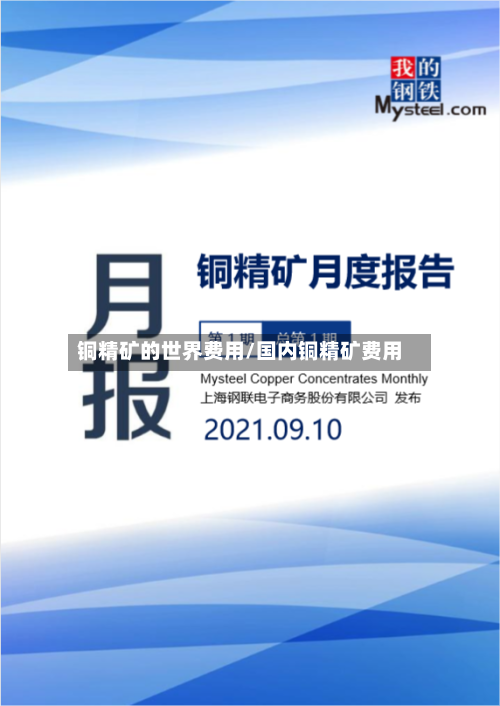 铜精矿的世界费用/国内铜精矿费用-第2张图片
