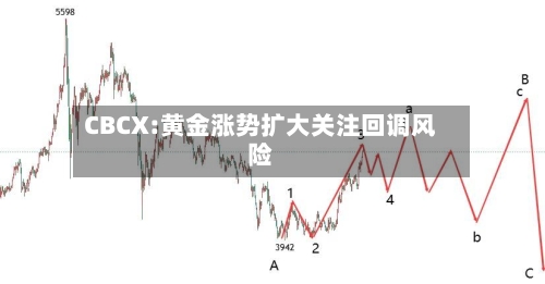 CBCX:黄金涨势扩大关注回调风险-第2张图片