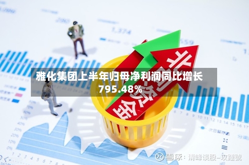 雅化集团上半年归母净利润同比增长795.48%