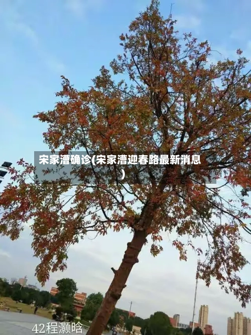 宋家漕确诊(宋家漕迎春路最新消息)-第2张图片