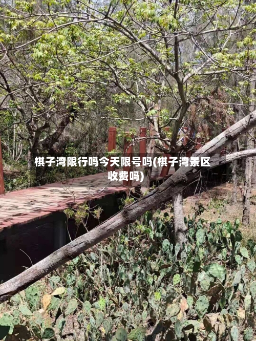 棋子湾限行吗今天限号吗(棋子湾景区收费吗)