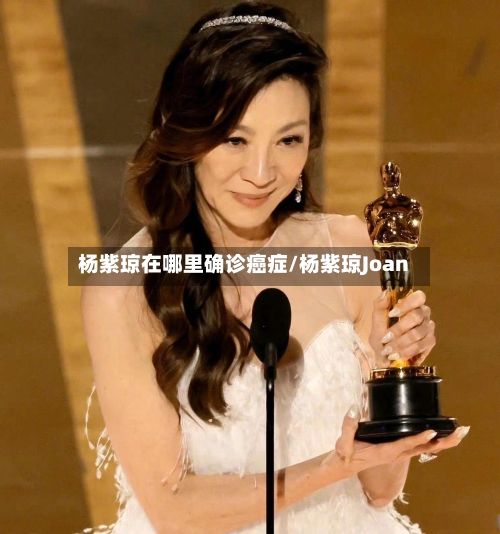 杨紫琼在哪里确诊癌症/杨紫琼Joan-第2张图片