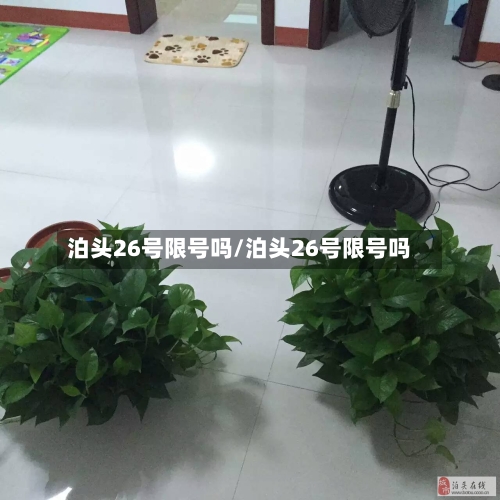 泊头26号限号吗/泊头26号限号吗-第2张图片