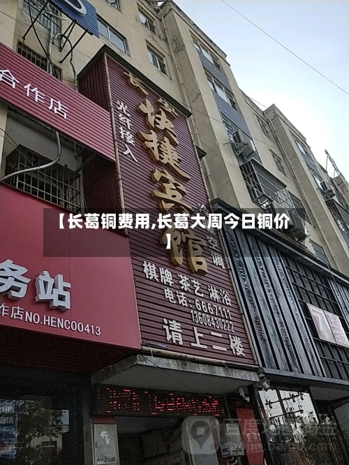 【长葛铜费用,长葛大周今日铜价】-第2张图片