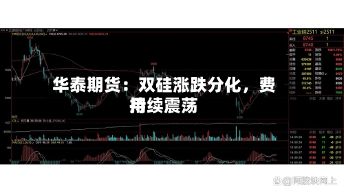 华泰期货：双硅涨跌分化，费用持续震荡-第2张图片