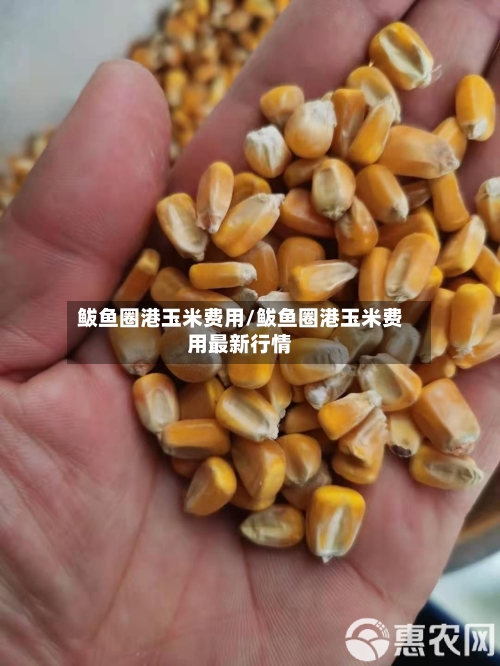 鲅鱼圈港玉米费用/鲅鱼圈港玉米费用最新行情