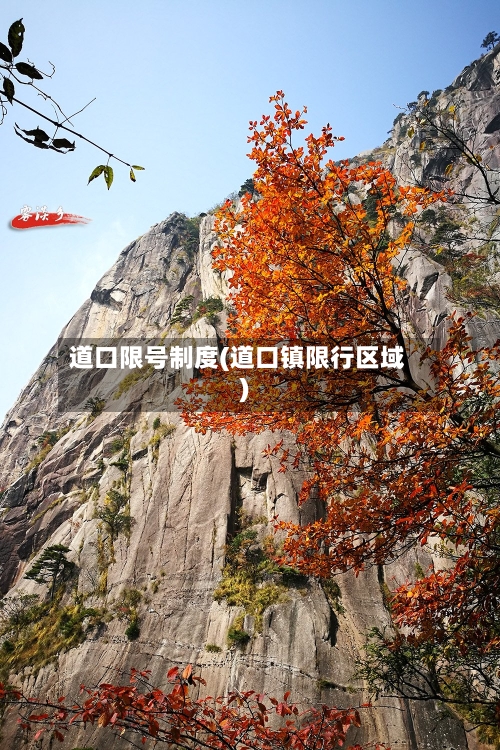 道口限号制度(道口镇限行区域)-第3张图片