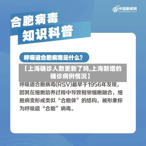 【上海确诊人数更新了吗,上海新增的确诊病例情况】-第2张图片