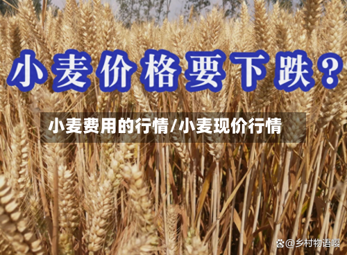 小麦费用的行情/小麦现价行情-第2张图片
