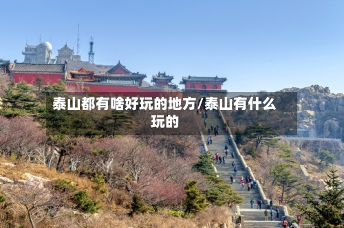 泰山都有啥好玩的地方/泰山有什么玩的-第3张图片