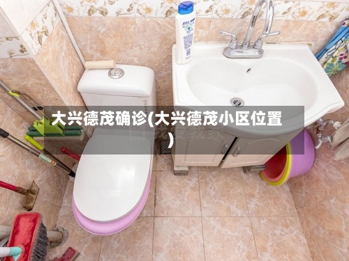 大兴德茂确诊(大兴德茂小区位置)