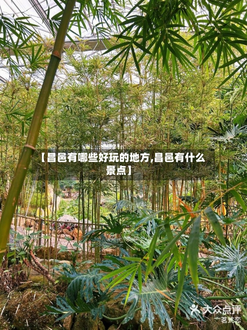 【昌邑有哪些好玩的地方,昌邑有什么景点】-第3张图片