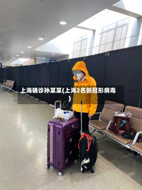 上海确诊孙某某(上海2名新冠形病毒)-第3张图片