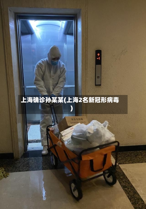 上海确诊孙某某(上海2名新冠形病毒)-第2张图片