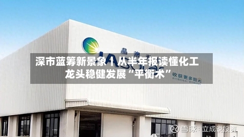 深市蓝筹新景象丨从半年报读懂化工龙头稳健发展“平衡术”-第3张图片