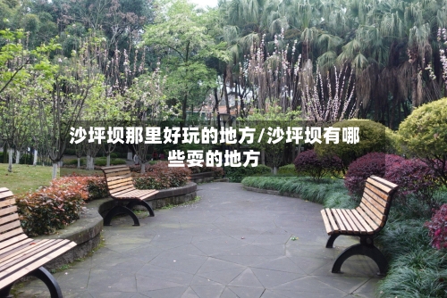 沙坪坝那里好玩的地方/沙坪坝有哪些耍的地方