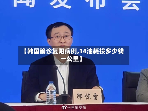 【韩国确诊复阳病例,14油耗投多少钱一公里】-第2张图片