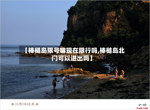 【棒槌岛限号嘛现在限行吗,棒槌岛北门可以进出吗】-第3张图片