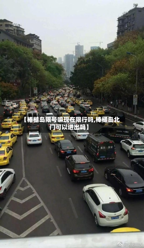【棒槌岛限号嘛现在限行吗,棒槌岛北门可以进出吗】-第2张图片
