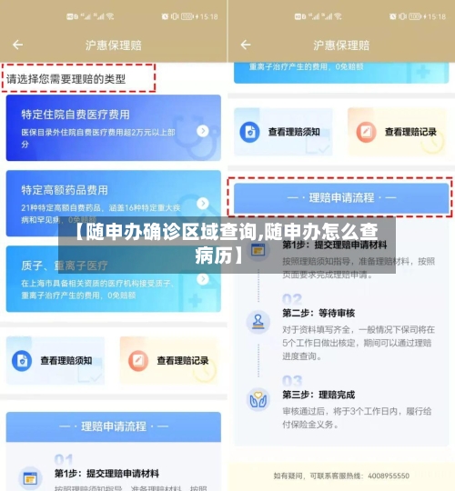 【随申办确诊区域查询,随申办怎么查病历】-第3张图片